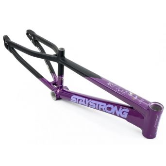 Cadre Stay Strong For Life V5 2025 - Purple / Black